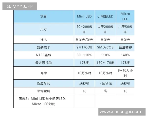 深度解析VAR技术现状与发展趋势展望