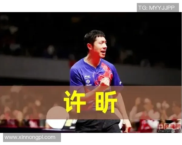 选秀评分揭晓高光与低迷交织谁能笑到最后成为真正赢家